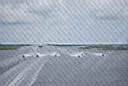 DSC_0739.JPG