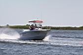 IMG_2786.JPG