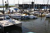 IMG_2996.JPG