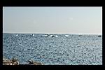 DSC_0048.JPG