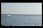 DSC_0049.JPG