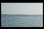 DSC_0050.JPG