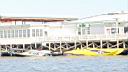 DSC2435.jpg